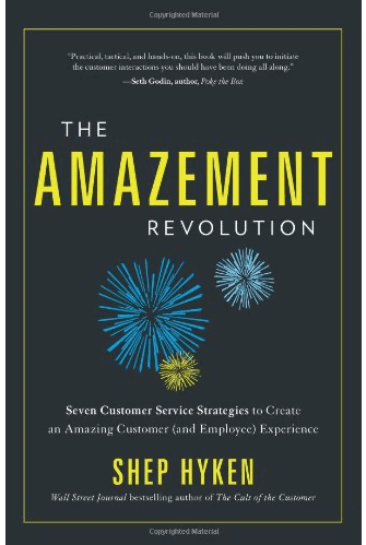 The Amazement Revolution Book
